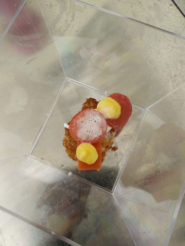 gastro-vikentomater-10